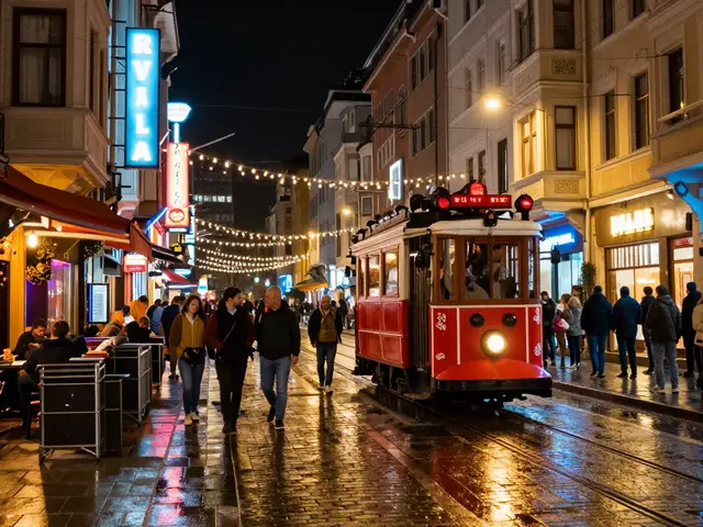 Istanbul's Nightlife: Lights, Music, and Energy After Dark